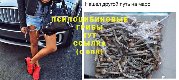сатива Бежецк