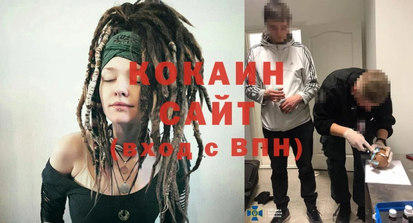хмурый Белая Холуница
