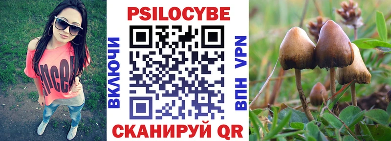 Псилоцибиновые грибы Psilocybe  кракен сайт  Кологрив 